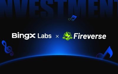 BingXLabs Fireverse