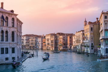 SCF PRO 2024 distributions