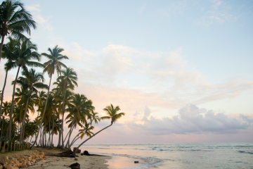 Live Nation Dominican Republic SD Concerts